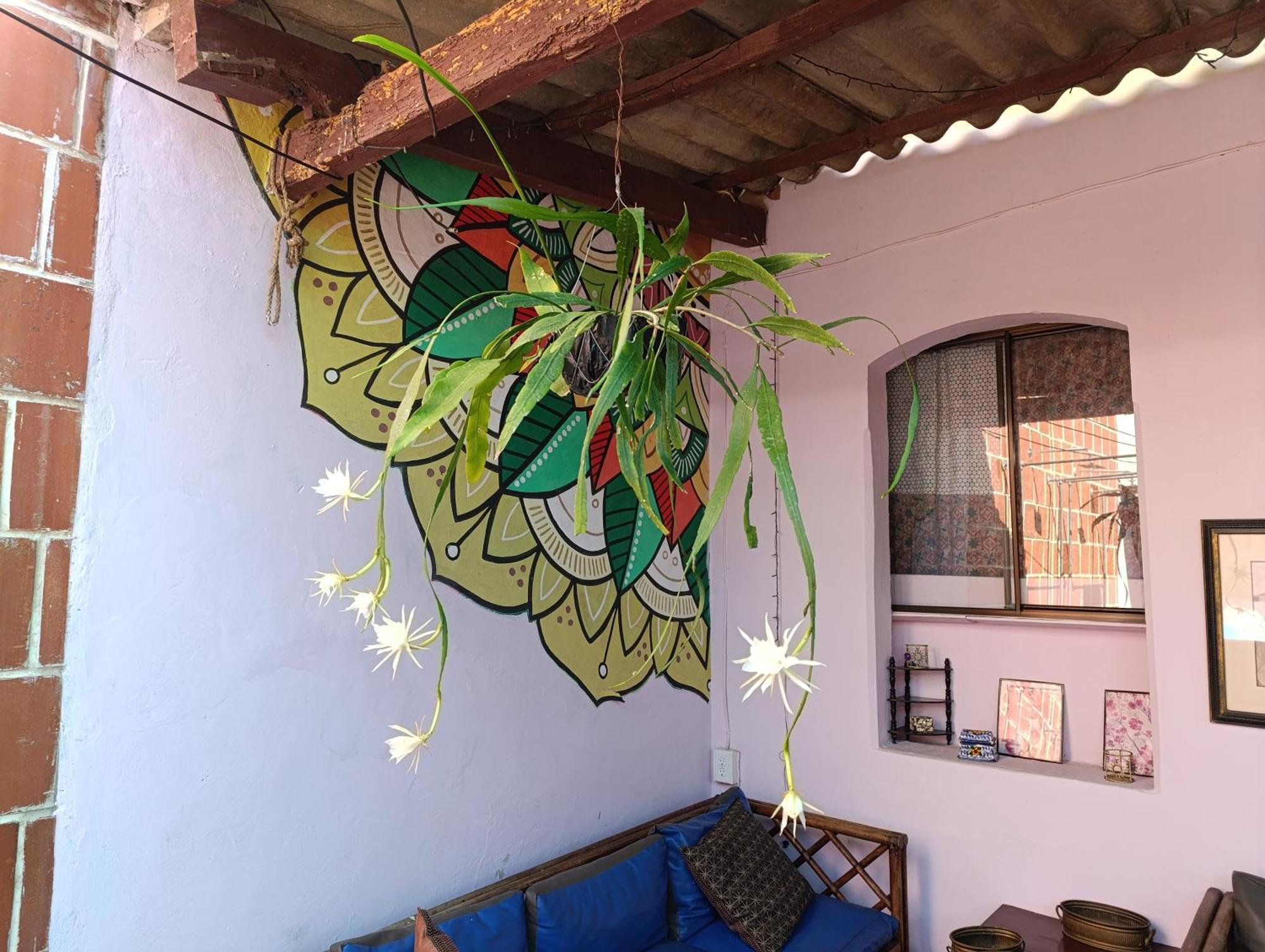 Casa Vieja Guest House Santa Ana Kültér fotó